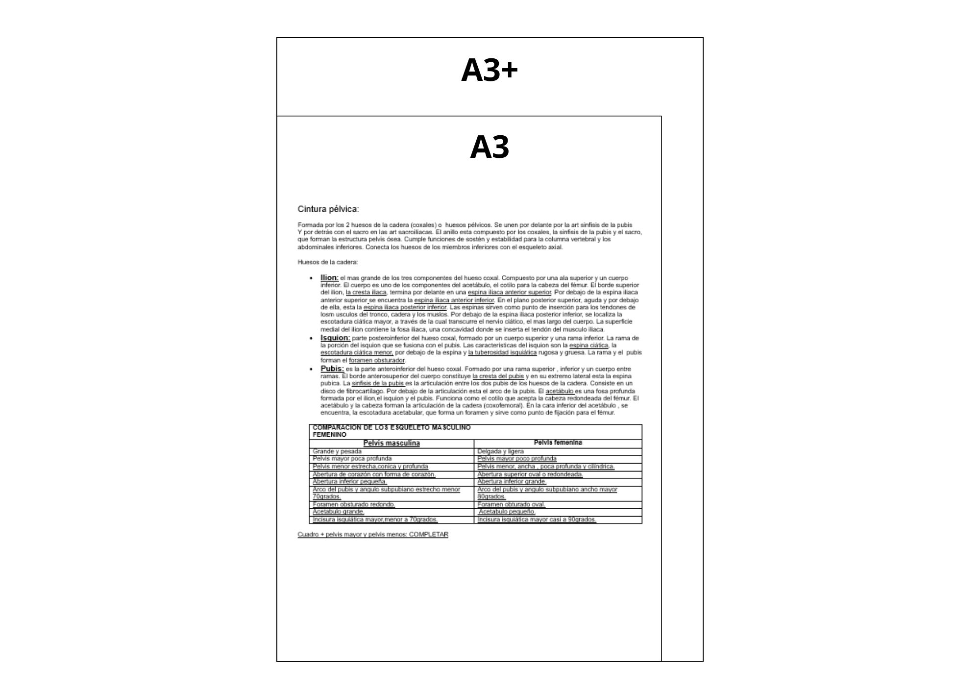 Papel fotográfico texto